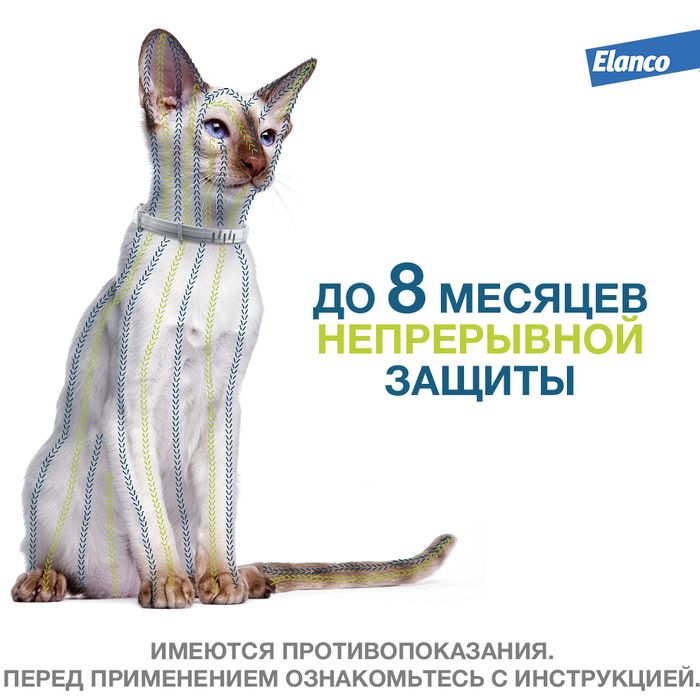 Elanco Форесто ошейник для котят и кошек, от клещей и блох