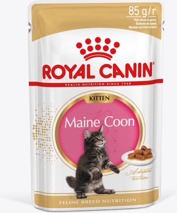 Royal Canin влажный корм для котят породы Мэйн Кун, кусочки в соусе