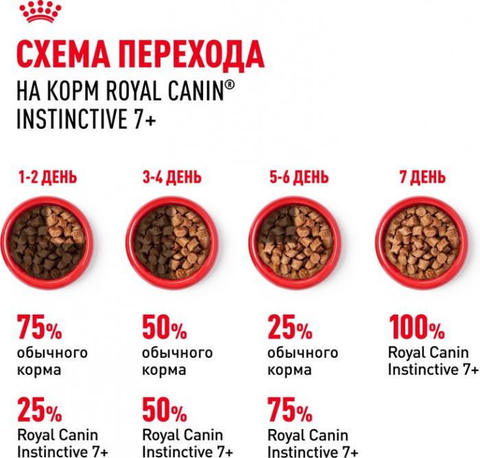 Royal Canin влажный корм для пожилых кошек всех пород, мелкие кусочки в соусе