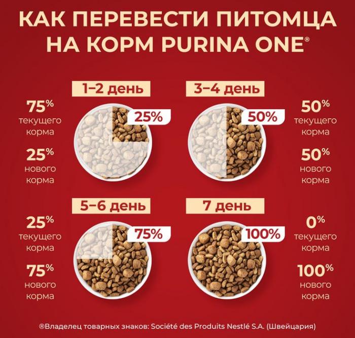Сухой корм Purina ONE® Мини Чувствительная для взрослых собак мелких пород с чувствительным пищеварением, с лососем и рисом