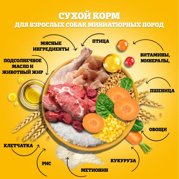 Pedigree корм для взрослых собак миниатюрных пород, говядина