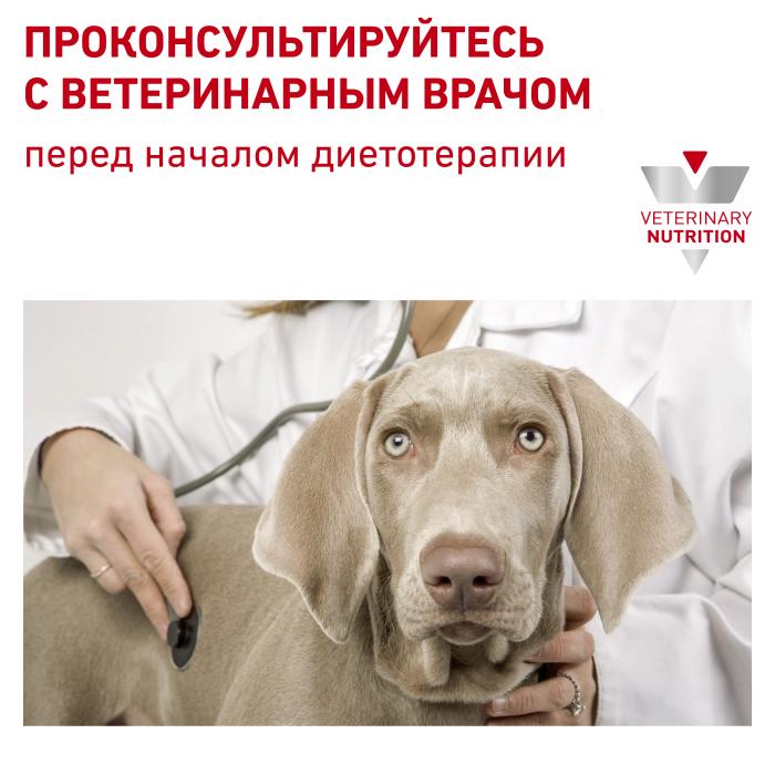 Royal Canin Gastro Intestinal консервы для собак при нарушениях пищеварения