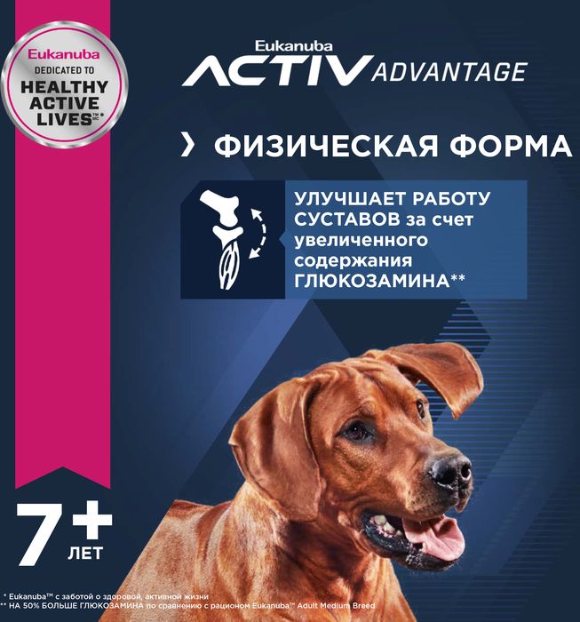 Eukanuba Mature&Senior 6+ Large Breeds сухой корм для собак крупных пород с курицей