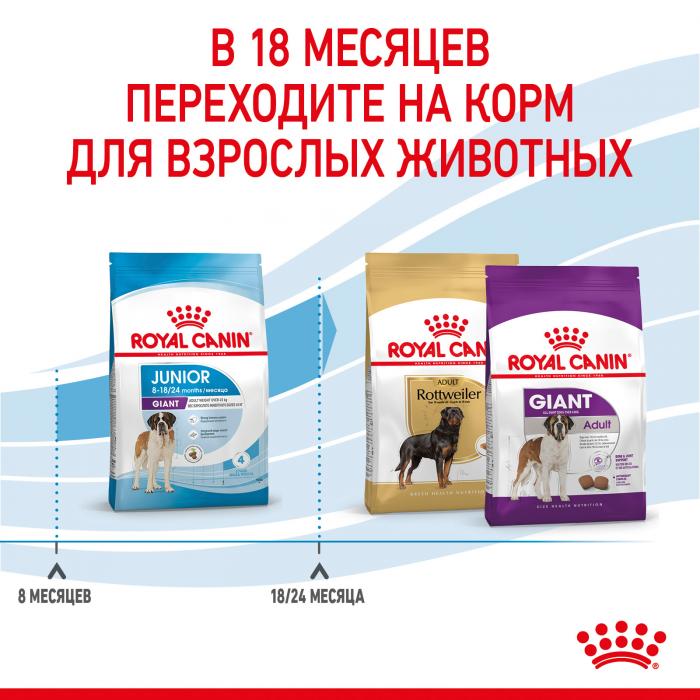 Royal Canin Giant Junior сухой корм для щенков гигантских пород
