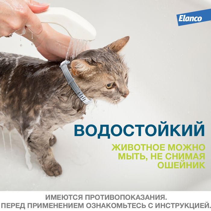 Elanco Форесто ошейник для котят и кошек, от клещей и блох