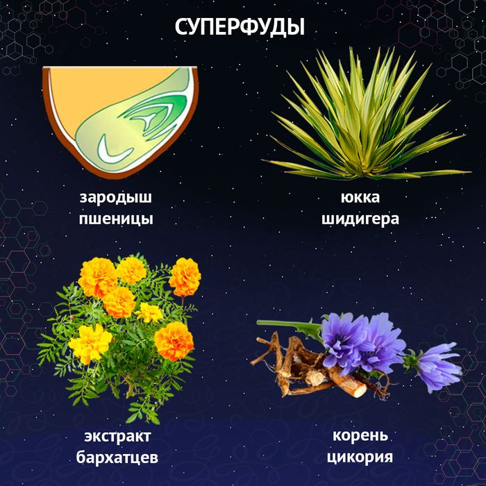 Prime Ever корм для собак средних и крупных пород, индейка с рисом
