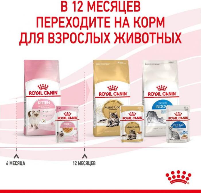 Royal Canin влажный корм для котят всех пород, в желе