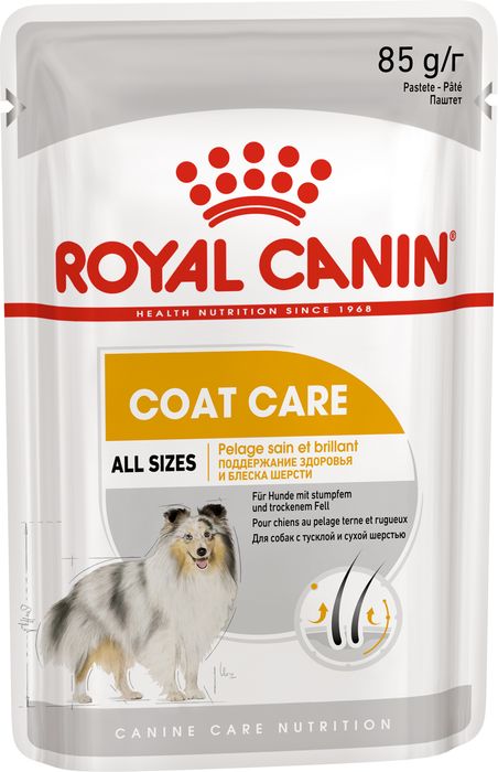 Royal Canin Coat Care влажный корм для взрослых собак всех пород с чувствительной кожей и шерстью, паштет