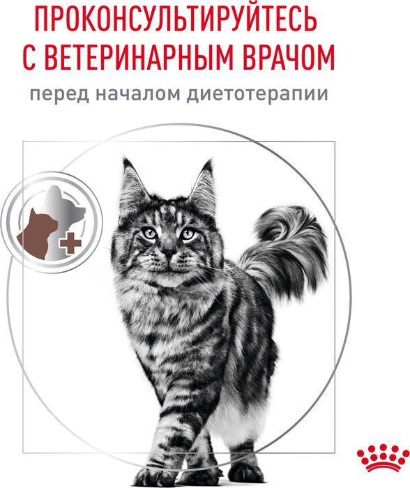 Royal Canin Gastrointestinal влажный корм для кошек, при нарушениях пищеварения, в соусе