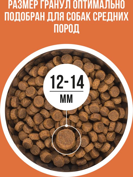 Bowl Wow корм для собак средних пород, с ягненком, индейкой, рисом и добавлением моркови