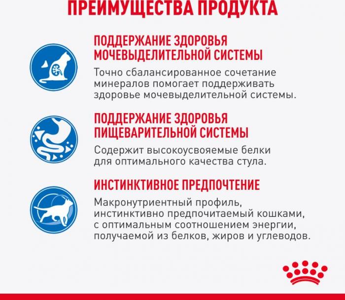 Royal Canin Indoor влажный корм для стерилизованных кошек, живущих в помещении, в соусе