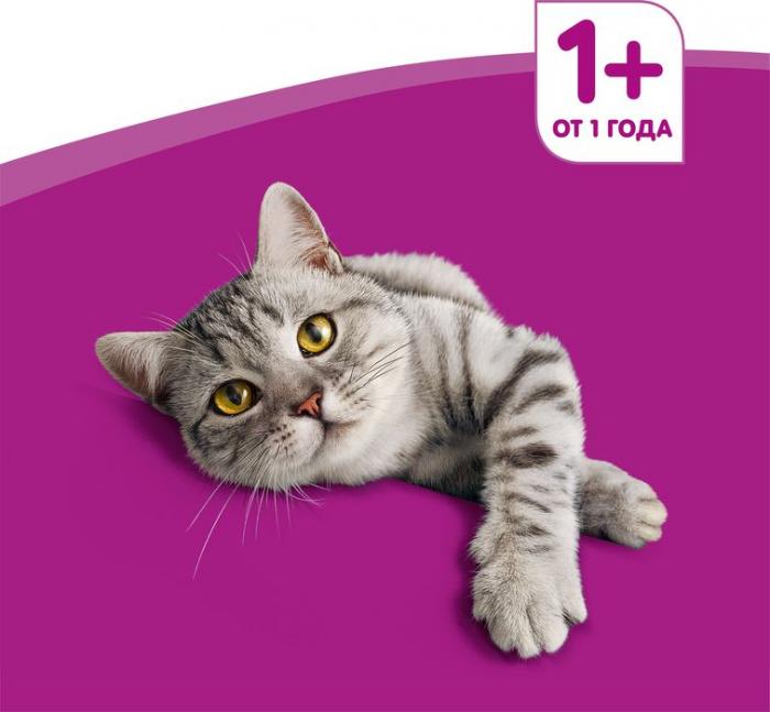 Whiskas влажный корм для кошек мясной паштет из говядины с печенью