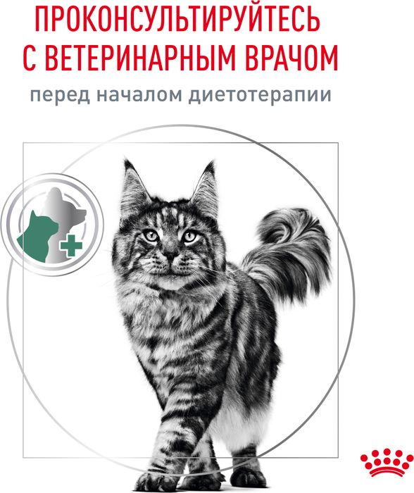 Royal Canin корм для взрослых и пожилых кошек всех пород, контроль веса, птица