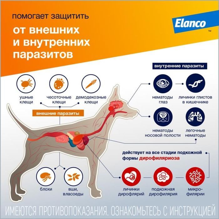 Elanco Адвокат капли для щенков и собак 4-10 кг, от клещей, блох и гельминтов