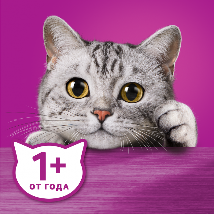Whiskas влажный корм для кошек, паштет с курицей и индейкой