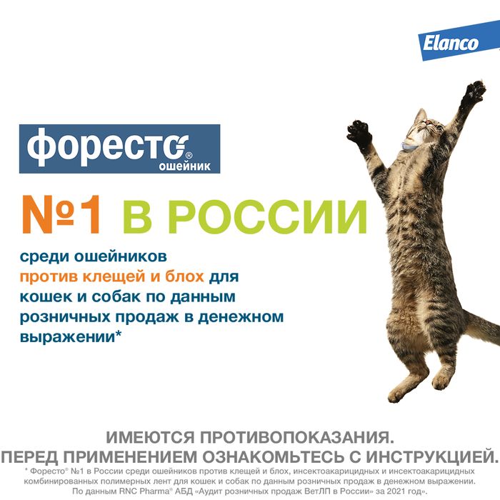 Elanco Форесто ошейник для котят и кошек, от клещей и блох