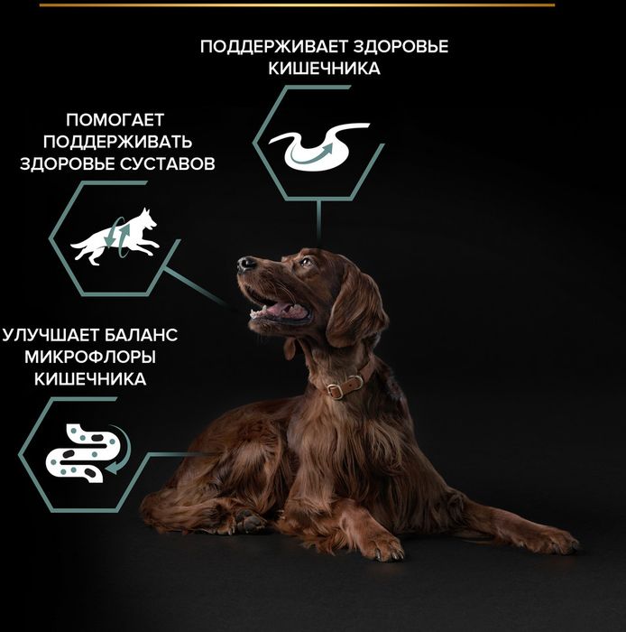 Сухой корм Pro Plan® Sensitive Digestion для взрослых собак крупных пород с атлетическим телосложением с чувствительным пищеварением, с высоким содержанием ягненка