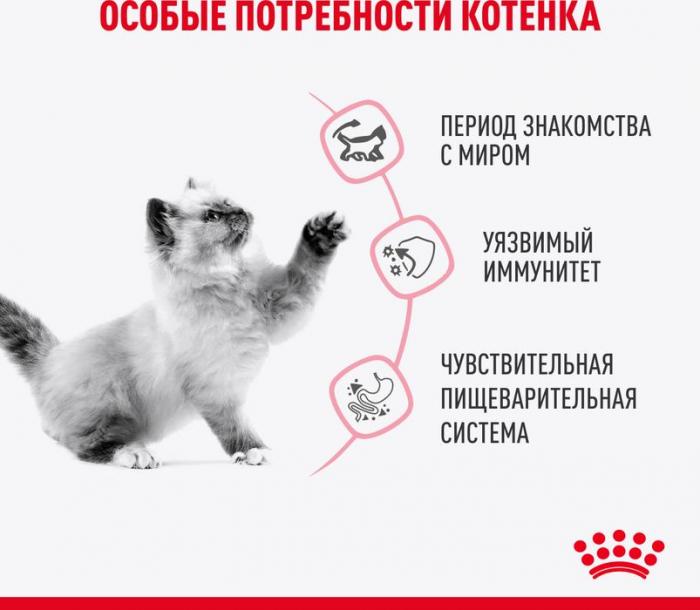 Royal Canin влажный корм для стерилизованных котят, кусочки в соусе
