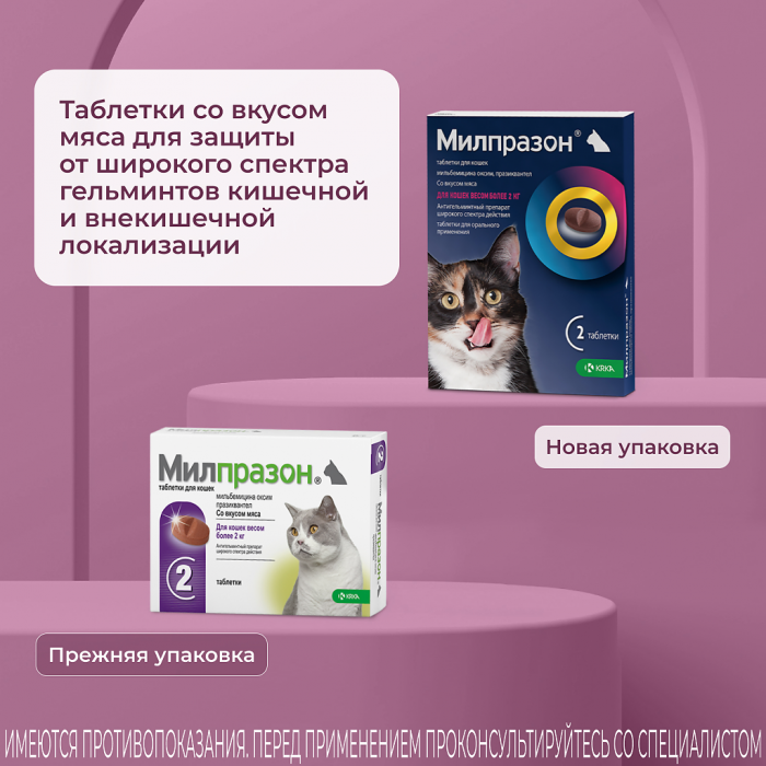 KRKA Милпразон таблетки для кошек от 2 кг, от глистов, 16 мг/40 мг