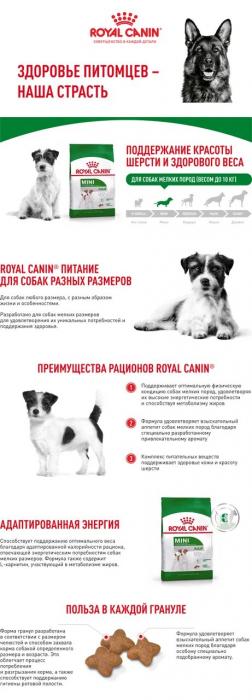 Royal Canin Mini Adult сухой корм для собак мелких пород