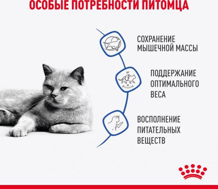 Royal Canin Light Weight Care влажный корм для кошек, при избыточном весе, в соусе