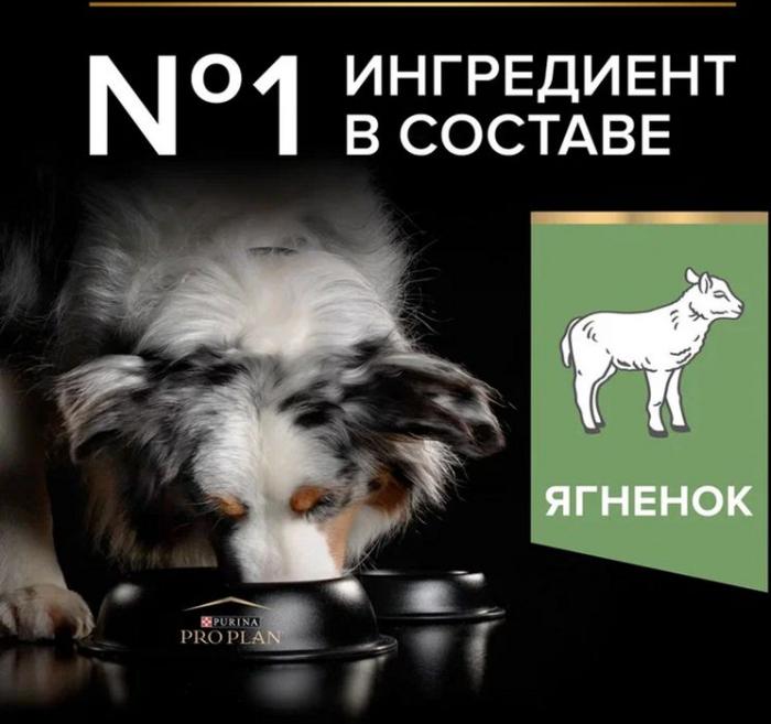 Сухой корм Pro Plan® Sensitive Digestion для взрослых собак средних пород с чувствительным пищеварением, с высоким содержанием ягненка