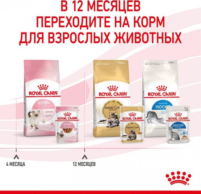Royal Canin влажный корм для котят всех пород, в соусе