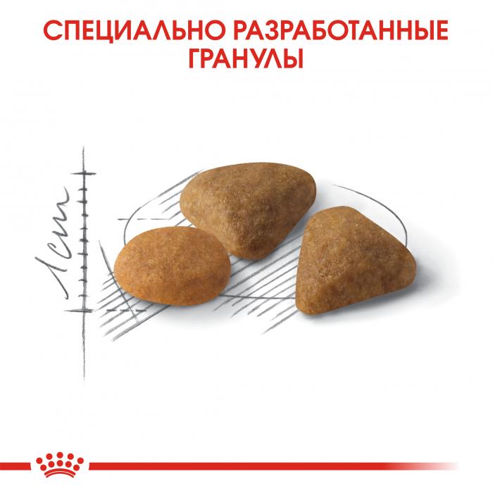 Royal Canin Savour Exigent сухой корм для кошек привередливых ко вкусу продукта