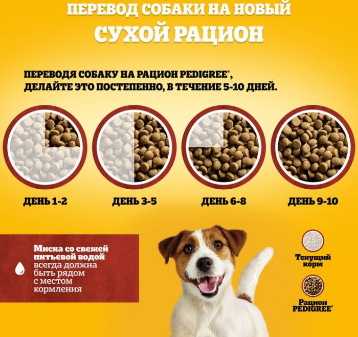 Pedigree сухой корм для собак мелких пород с говядиной