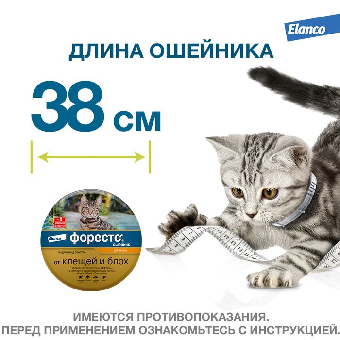 Elanco Форесто ошейник для котят и кошек, от клещей и блох