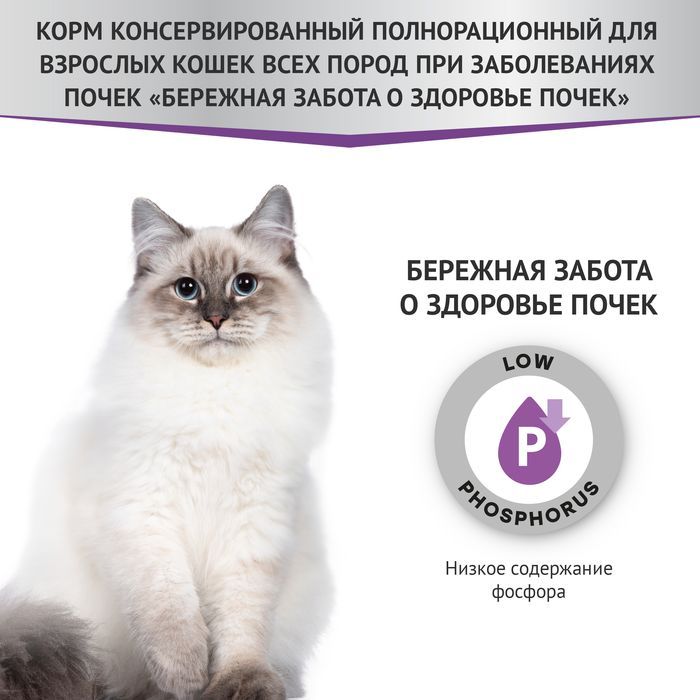 Мираторг Expert влажный корм для кошек, при заболеваниях почек, курица