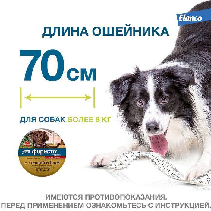 Elanco Форесто ошейник для щенков и собак более 8 кг, от клещей и блох