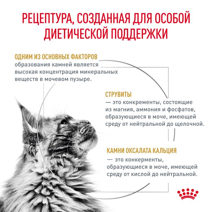 Royal Canin Urinary S/O лечебный корм для кошек для профилактики мочекаменной болезни