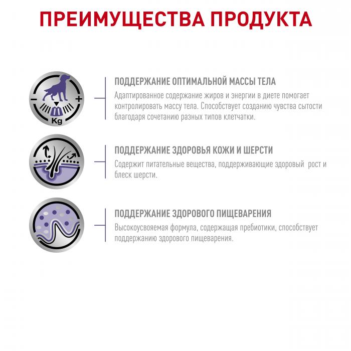 Royal Canin Neutered Adult Medium Dogs сухой корм для кастрированных собак средних пород