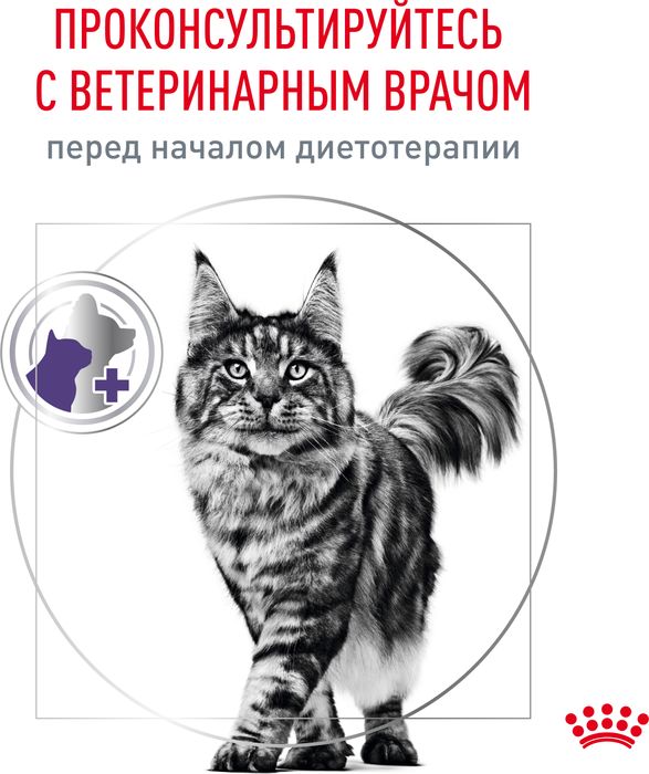 Royal Canin Neutered Maintenance влажный корм для стерилизованных кошек, мелкие кусочки в соусе