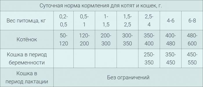 Brit Premium Starter влажный корм для котят, воздушный паштет с индейкой