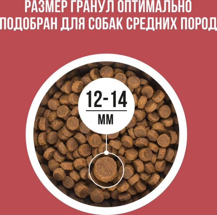Bowl Wow корм для собак средних пород, с индейкой, курицей, рисом и добавлением свеклы