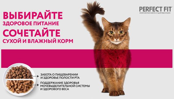 Perfect Fit влажный корм для котят от 1 до 12 месяцев, с курицей в соусе