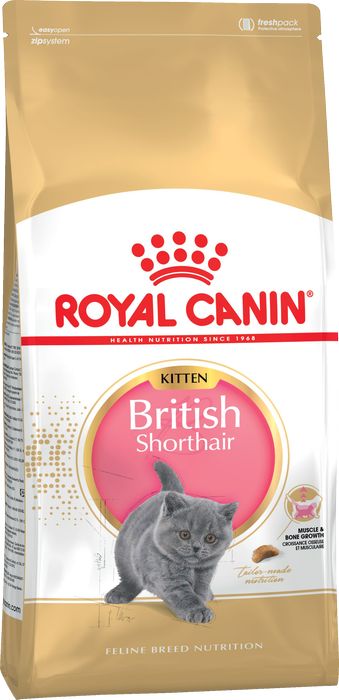 Royal Canin Kitten British Shorthair сухой корм для британских котят