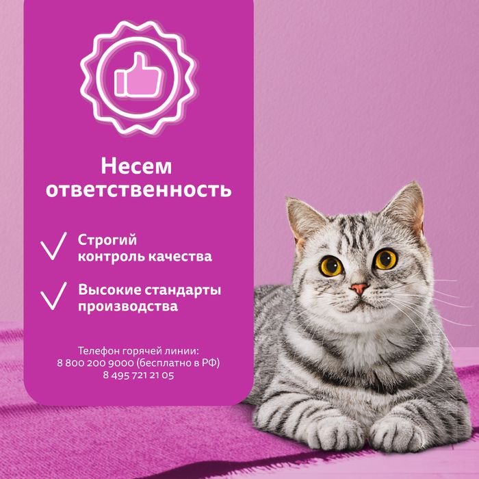 Whiskas влажный корм для взрослых кошек, желе с телятиной