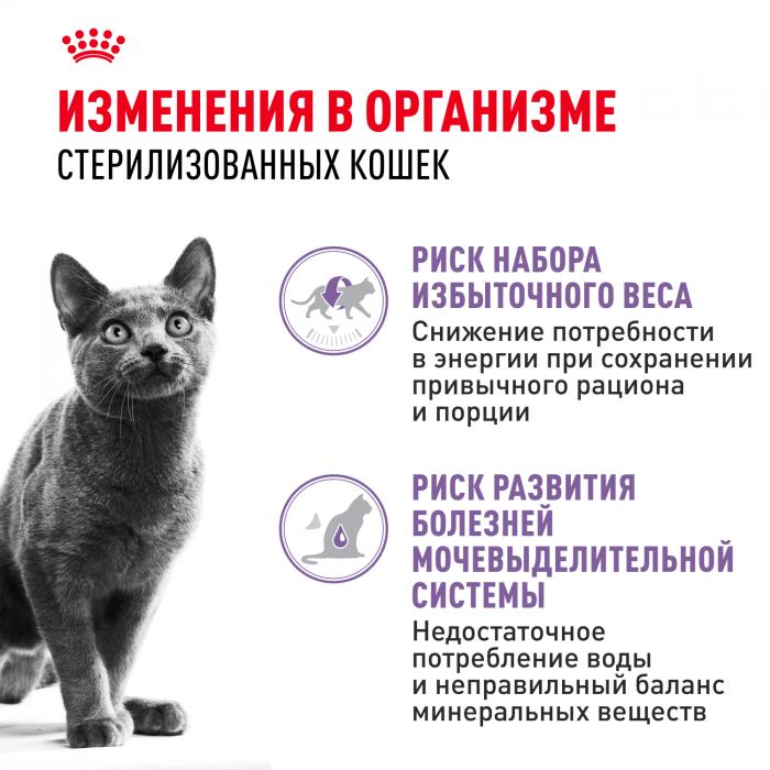 Royal Canin влажный корм для стерилизованных взрослых кошек всех пород, кусочки в соусе