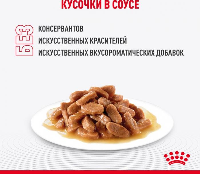 Royal Canin Indoor влажный корм для стерилизованных кошек, живущих в помещении, в соусе