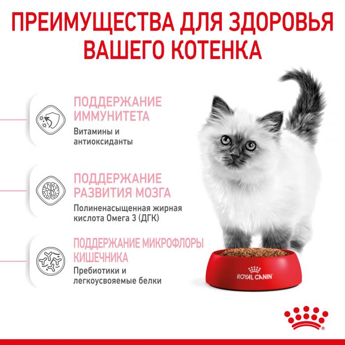 Royal Canin корм для котят всех пород
