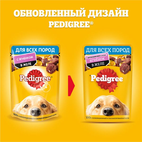 Pedigree влажный корм для собак с ягненком в желе
