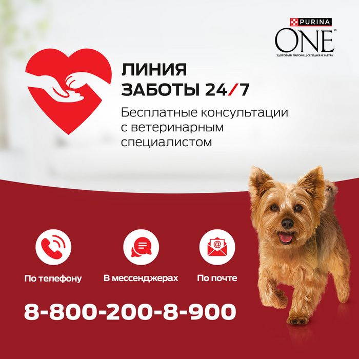 Сухой корм Purina ONE® для взрослых собак мелких и карликовых пород, с высоким содержанием говядины и с рисом