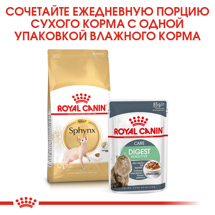 Royal Canin Sphynx сухой корм для кошек породы сфинкс