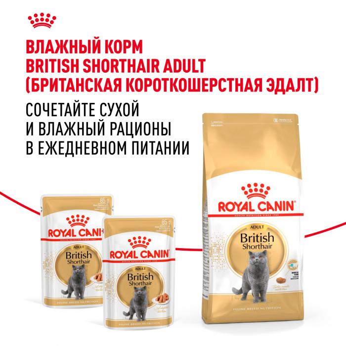 Royal Canin British Shorthair Adult сухой корм для кошек британской короткошерстной породы старше 12 месяцев