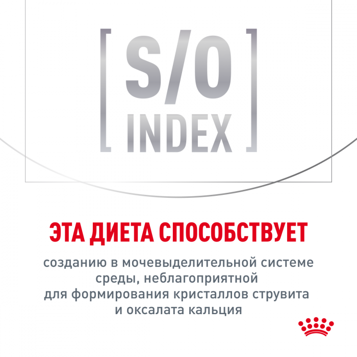 Royal Canin корм для взрослых и пожилых кошек, лечение и профилактика МКБ