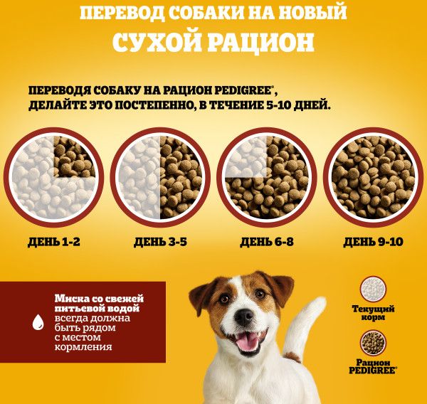 Pedigree корм для взрослых собак малых пород, говядина