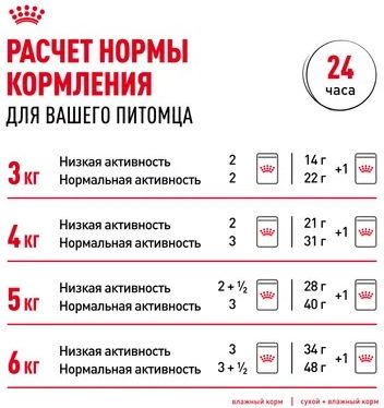 Royal Canin Digestive Care корм для взрослых кошек всех пород, с чувствительной пищеварительной системой